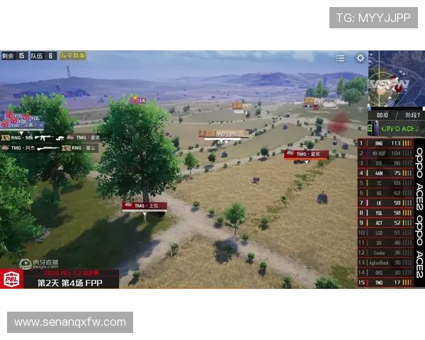 和平精英巨献：深入解析RNG团队协作的成功秘诀与战术策略